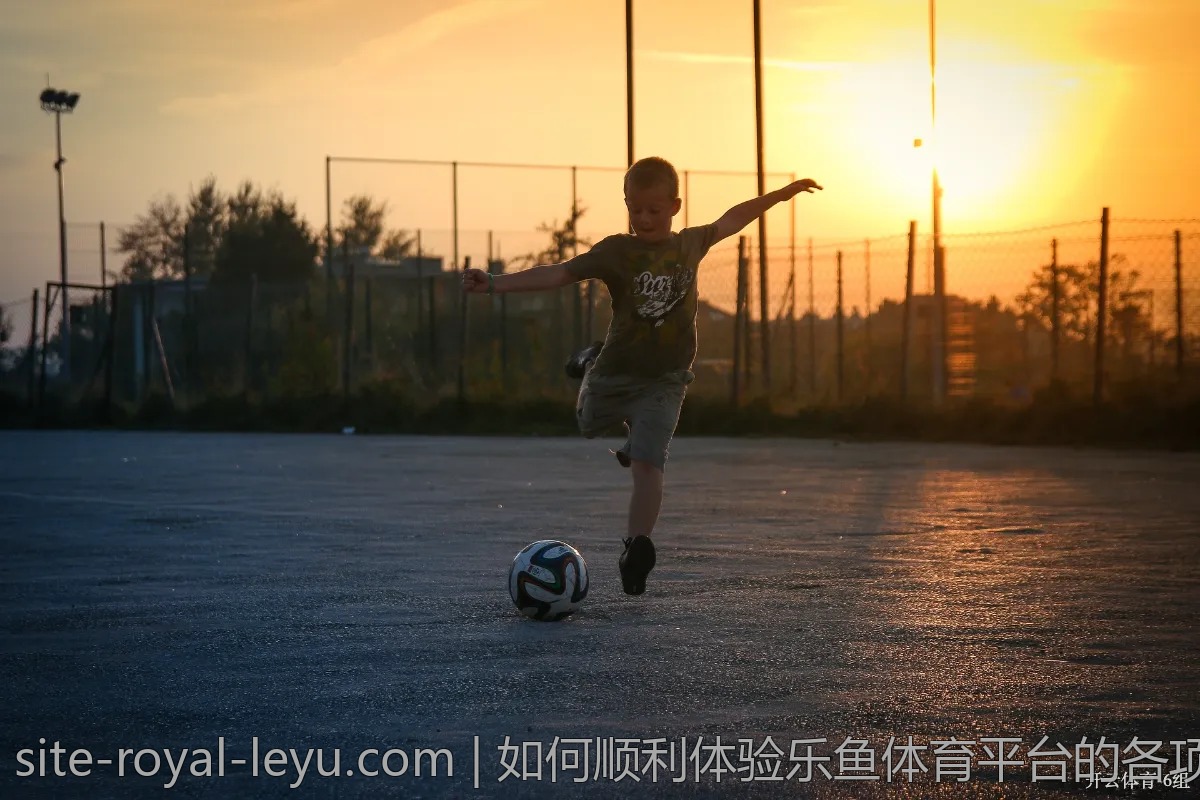 如何顺利体验乐鱼体育平台的各项功能