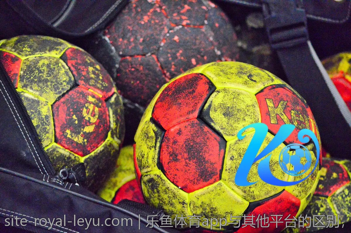 乐鱼体育平台奖励机制揭秘，攻略分享